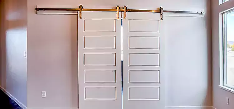 Glass Barn Door with Installation Hardware Kit East Northport